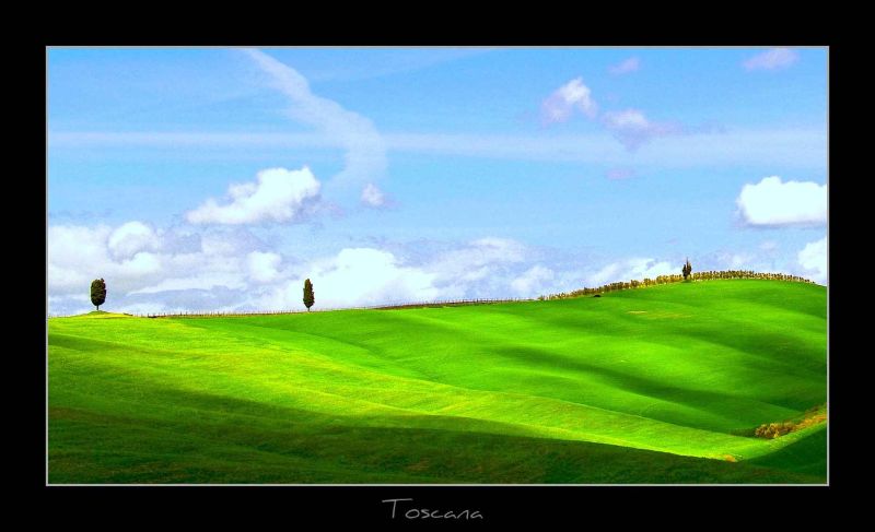 toscana - spring time.jpg